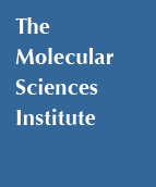 The Molecular Sciences Institute